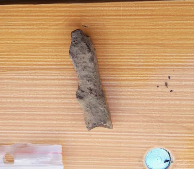 Ammunooleots. 15.–16. sajand.