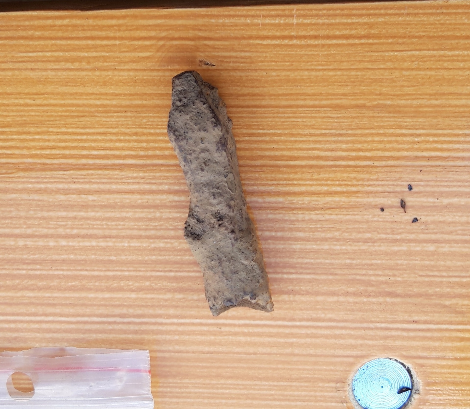Ammunooleots. 15.–16. sajand.
